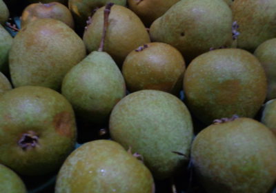 Apfel-u.-Birnensorten-2013-003-400x280.jpg